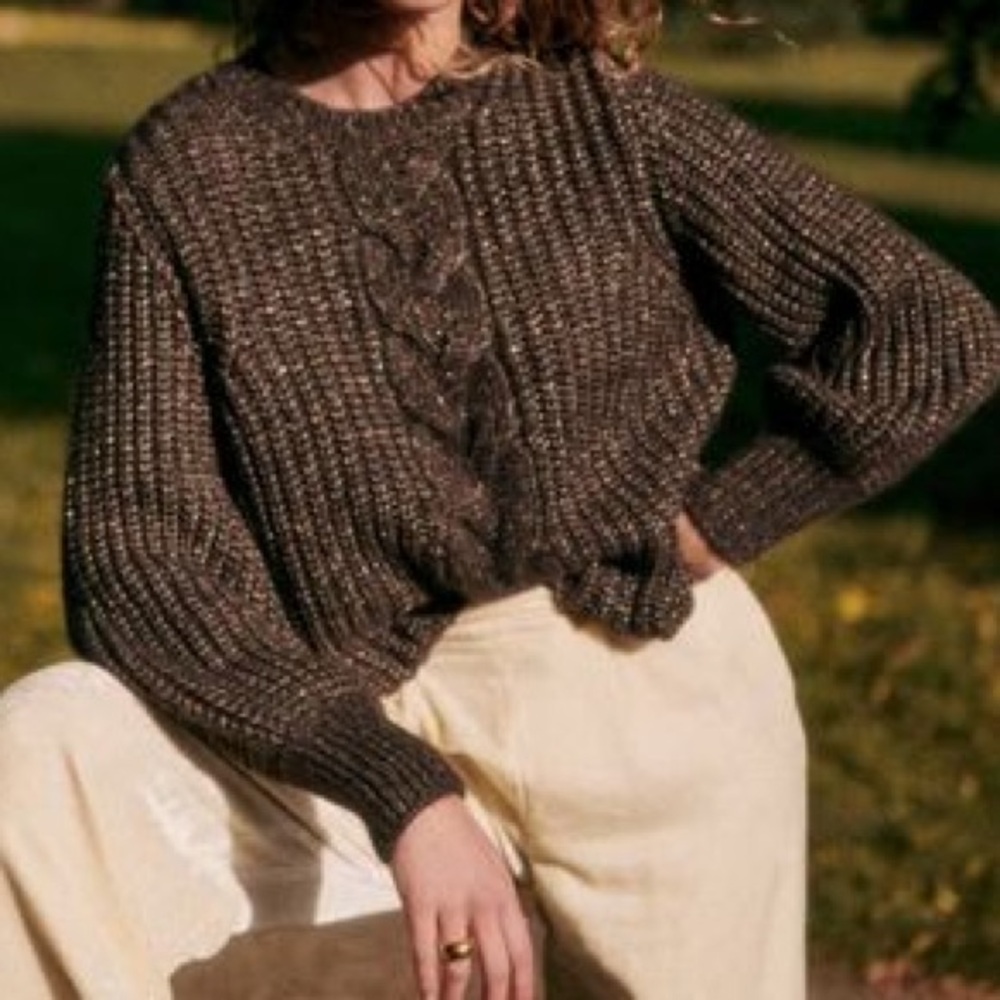NWT Sezane Jazz Sweater